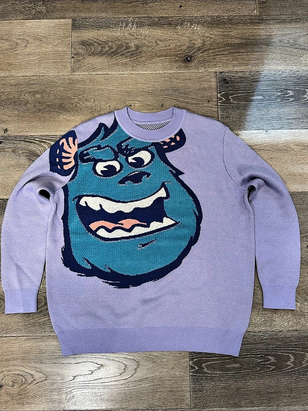 Disney Monsters University Mike Wazowski sweater Monsters Sweater Size Large